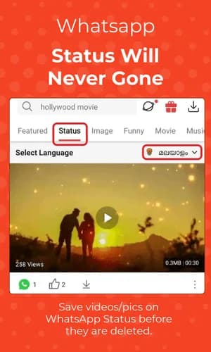 Status Will Never Gone