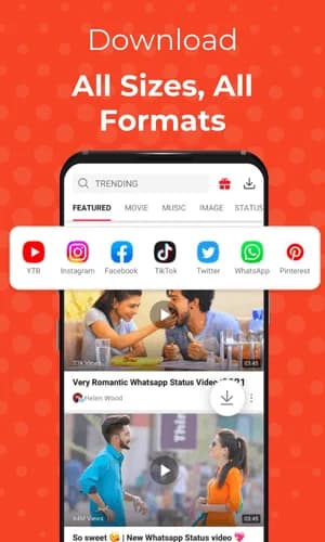 All Sizes, All Formats